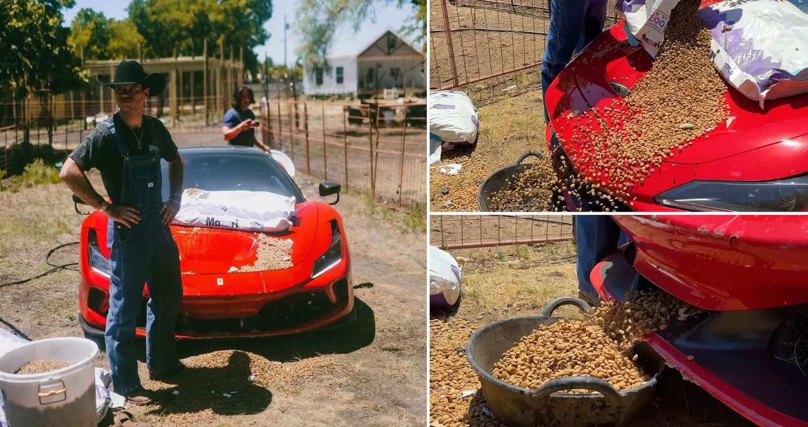 Ютубер из Индианы превратил свой Ferrari F8 Tributo за 400 000 долларов в самый дорогой в мире дозатор корма для животных.  Внесет ли строгая итальянская марка влиятельного лица в черный список?